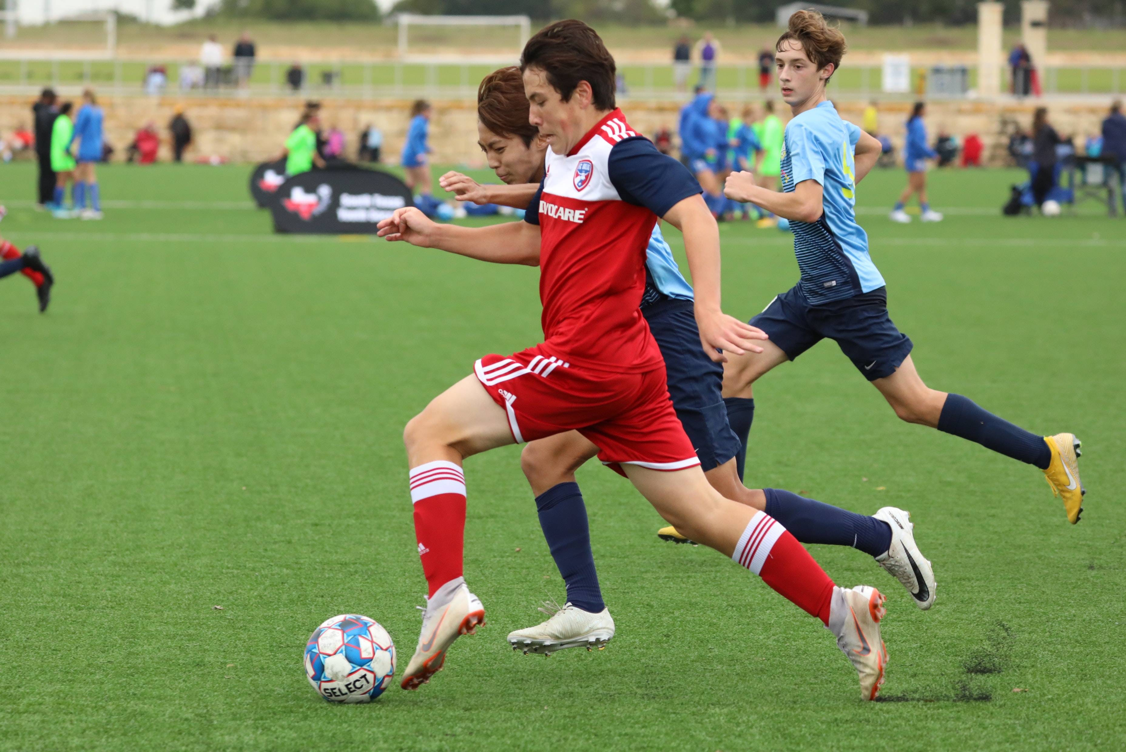 为了在选拔 为了在选拔